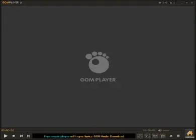 GOMPlayer Download