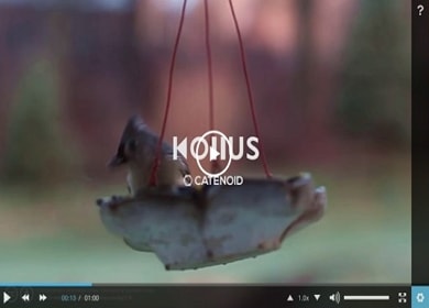 Kollus Player Download